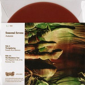 Pamela Wyn Shannon/Magickal Folk of the Faraway Tree (col. 7") Pamela Wyn Shannon/Magickal Folk of the Faraway Tree (col. 7")